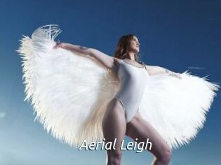 Aerial_Leigh