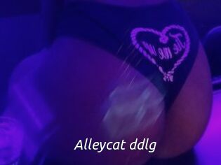 Alleycat_ddlg