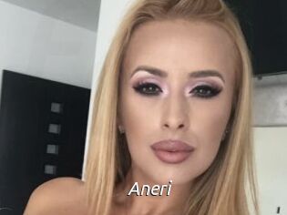 Aneri