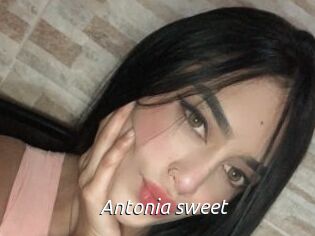 Antonia_sweet