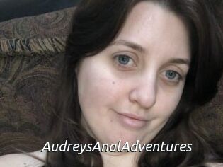 AudreysAnalAdventures