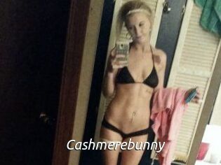 Cashmerebunny