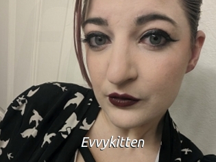 Evvykitten