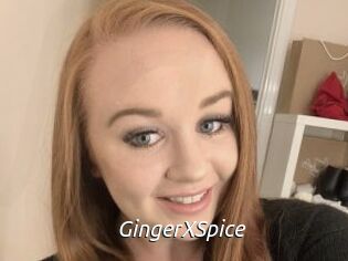 GingerXSpice