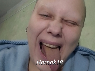 Hornak18