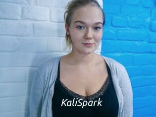 KaliSpark