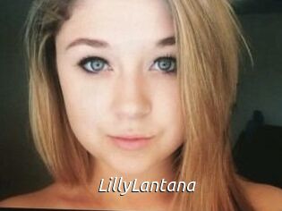 LillyLantana