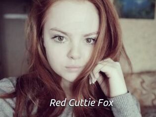 Red_Cuttie_Fox