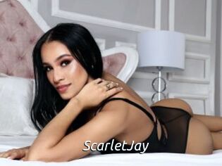 Scarlet_Jay