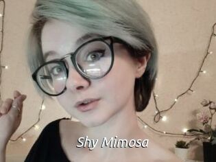 Shy_Mimosa