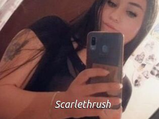 Scarlethrush