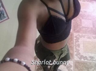 Sharlot_bunny