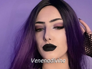 Venenadivina