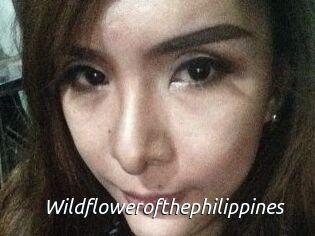 Wildflowerofthephilippines